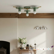 Radiro Globe Geometric Sphere Modern Ceiling Light for Living Room